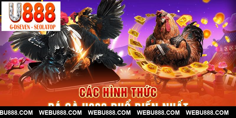 Các hình thức đá gà u888 phổ biến nhất