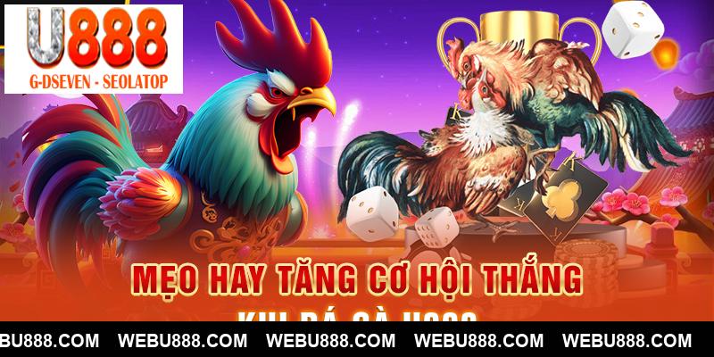 Mẹo hay tăng cơ hội thắng khi Đá Gà U888