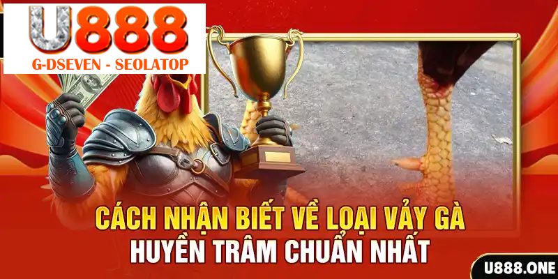 Cách nhận biết về loại vảy gà Huyền Trâm chuẩn nhất