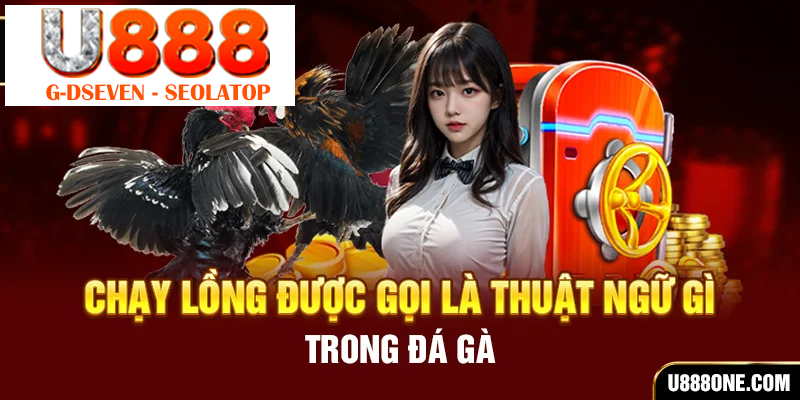 Chạy lồng được gọi là thuật ngữ gì trong đá gà