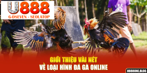 processed gioi thieu vai net ve loai hinh da ga online