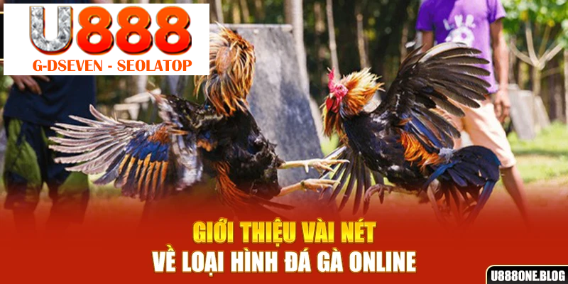 Giới thiệu vài nét về loại hình đá gà online