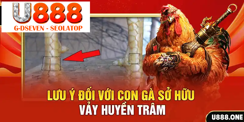 Lưu ý đối với con gà sở hữu vảy Huyền Trâm