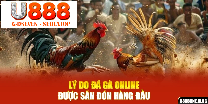 Lý do đá gà online được săn đón hàng đầu