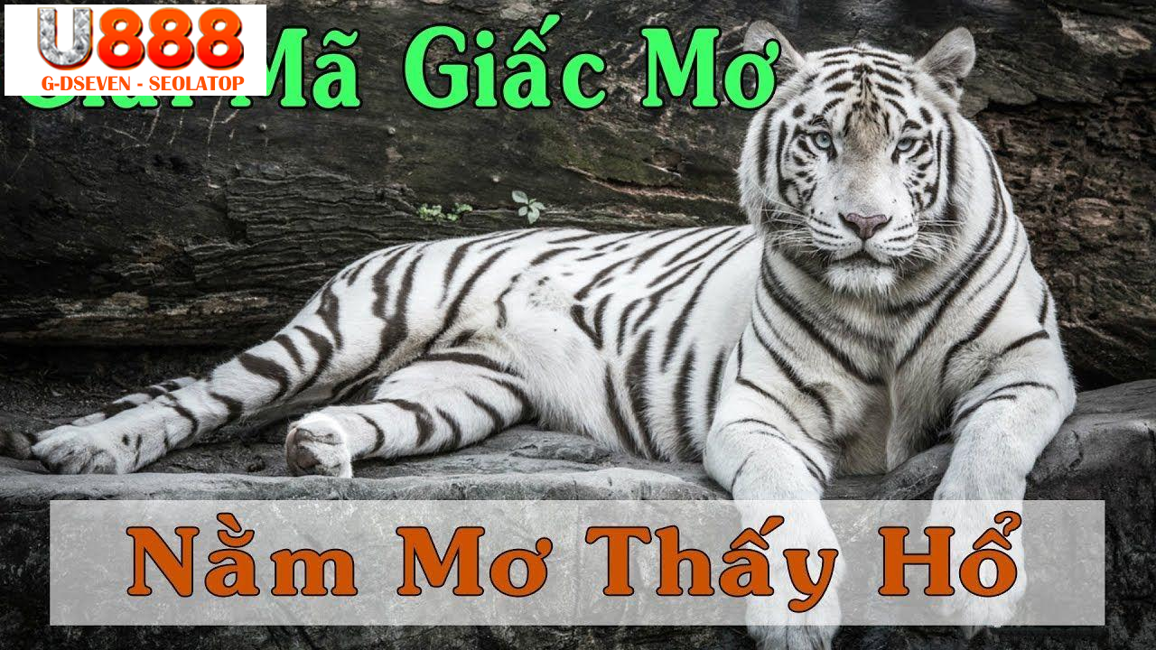 Giải mã giấc mơ thấy hổ đi vào nhà lành hay dữ?