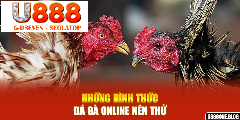 Những hình thức đá gà online nên thử