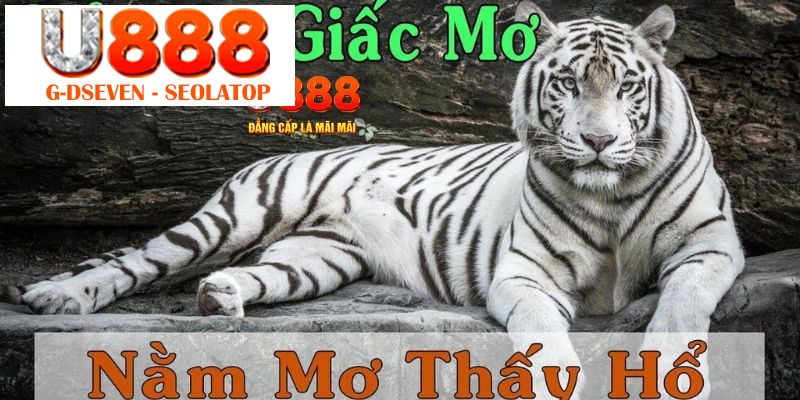 Sổ mơ thấy Hổ đánh con gì ở một số diễn biến khác