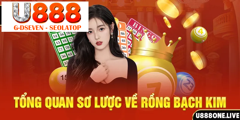 Tổng quan sơ lược về Rồng Bạch Kim