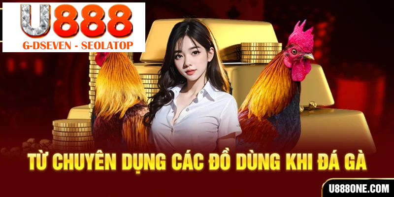 Từ chuyên dụng các đồ dùng khi đá gà