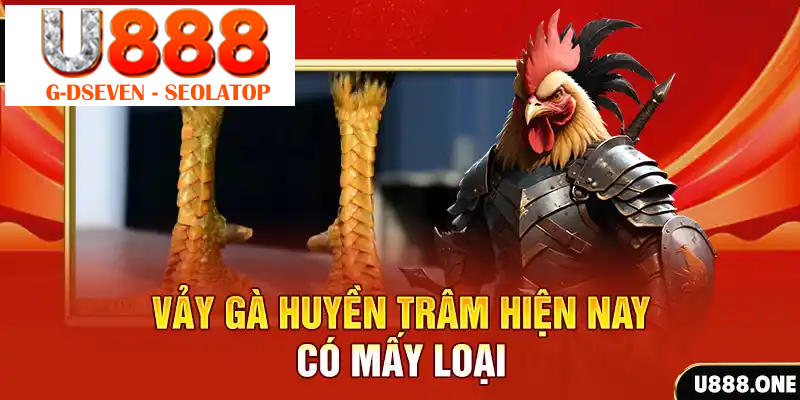 Vảy gà Huyền Trâm hiện nay có mấy loại