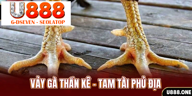 Vảy gà thần kê – Tam tài phủ địa